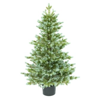 Choinka sztuczna Świerk Serbski w donicy 110 cm